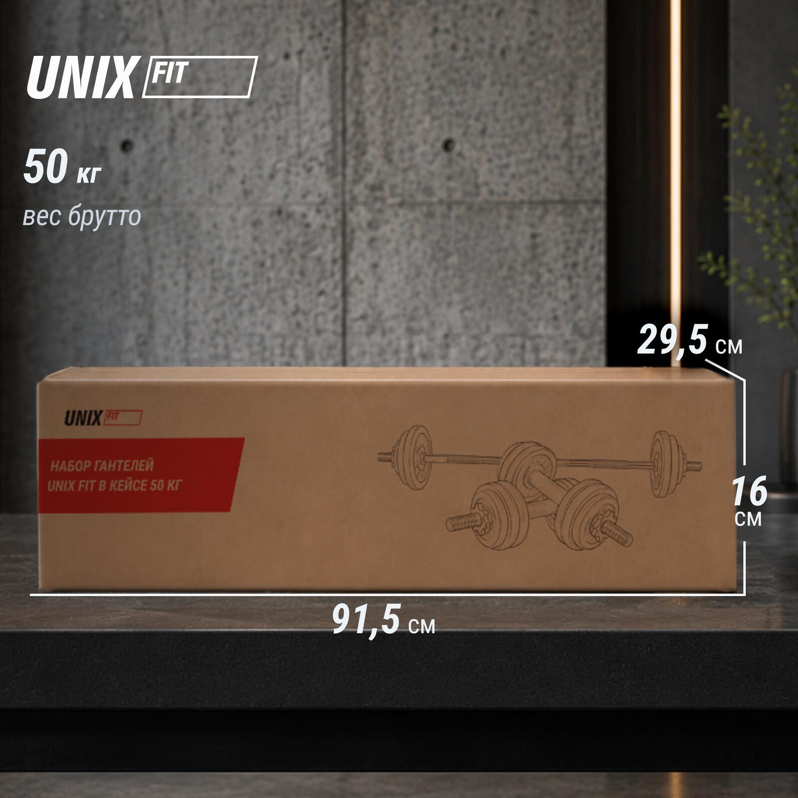 Набор гантелей и штанга UNIX Fit в кейсе 50 кг